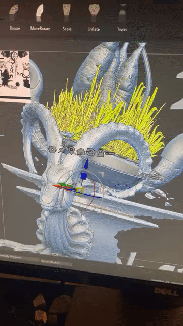 Growth Simulation