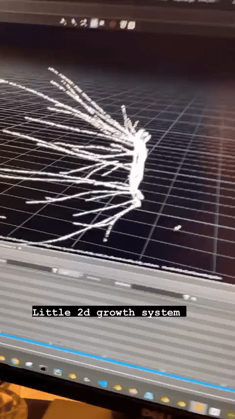 2D Growth Simulation