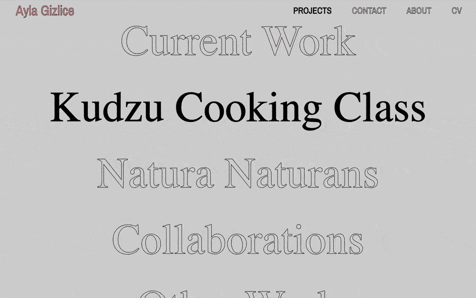 Ayla Gizlice Portfolio - Desktop