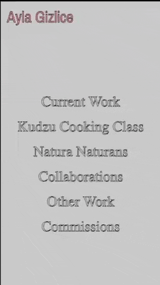 Ayla Gizlice Portfolio - Mobile